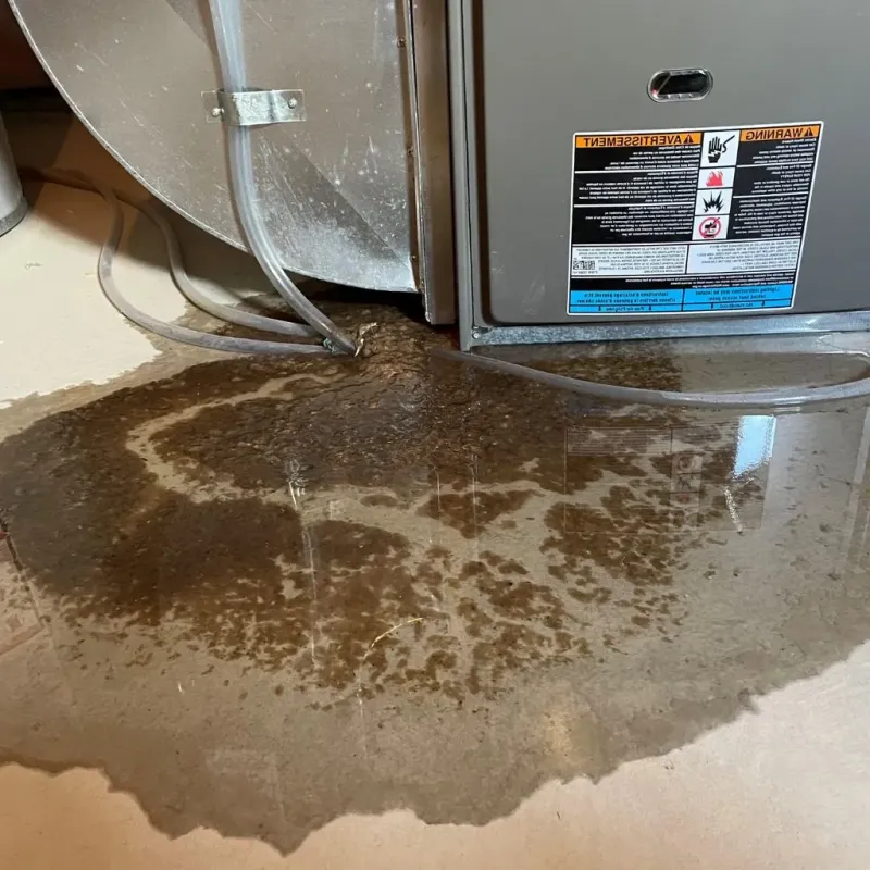 Pipe Burst and Leak Restoration in Forest Heights, MD