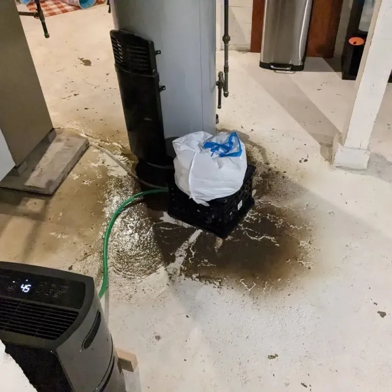 Sewage Backup Cleanup Service in Forest Heights, MD
